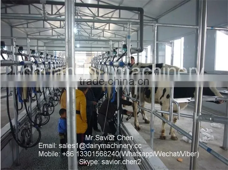 Dairy Farm Milking Equipment For Cows