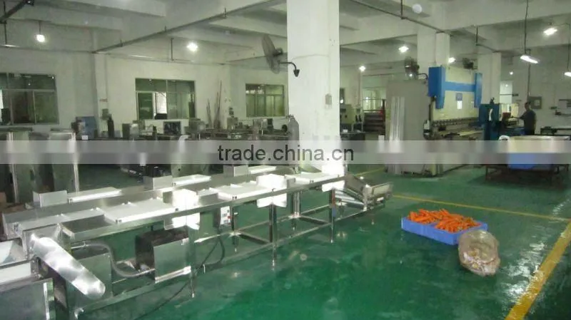 Vegetable cutting washing production line (video)