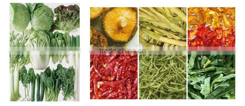 equipment from Guanfeng Food Machinery vegetables drying line