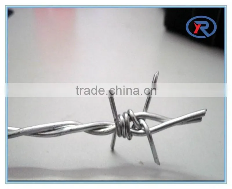 China factory cheap barb wire fence.galvanized barbed wire fencing