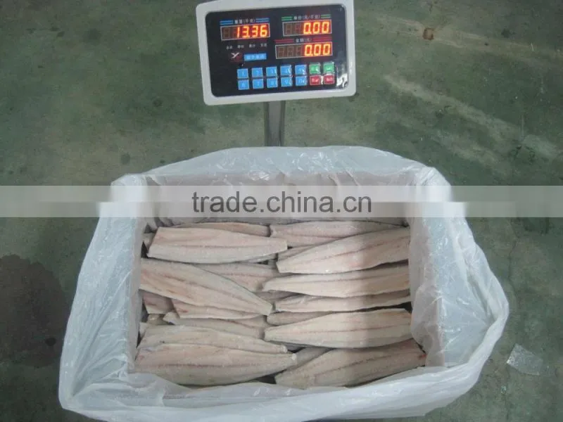 A grade quality frozen spanish mackerel fillets