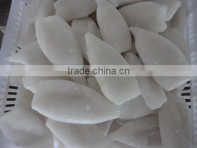 frozen squid tube illex squid