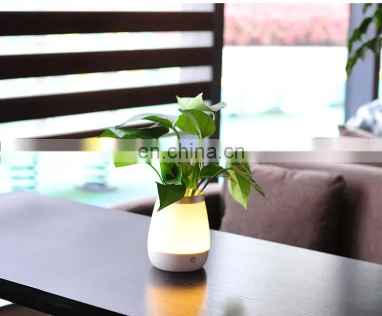 Creative table lamp LED energy-saving touch switch flower pot lamp