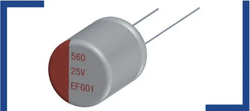 EF.png