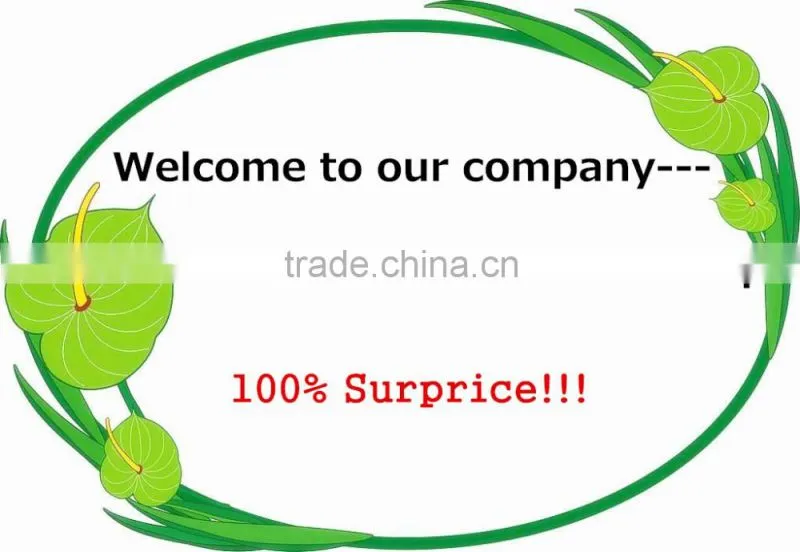 HOT SALE!!! 100% Surprise price 1000kg coal boiler or wood boiler