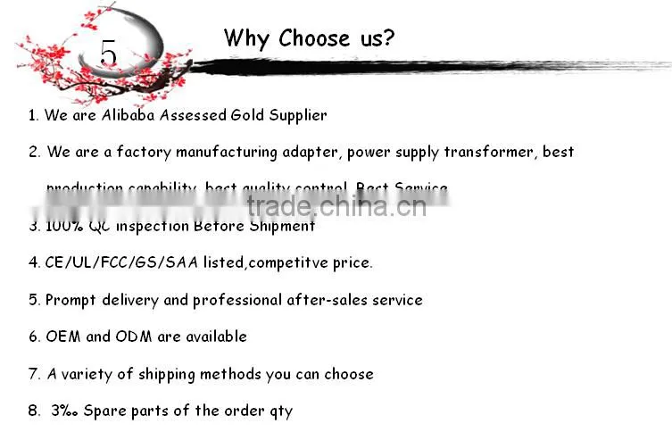 6W DC USB Adapter power supply