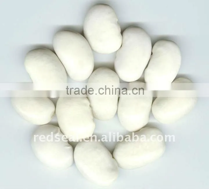 medium white kidney beans