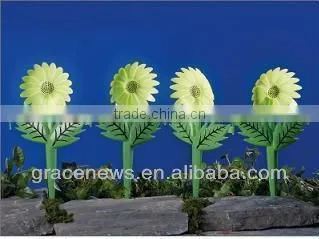 Luminous sunflower