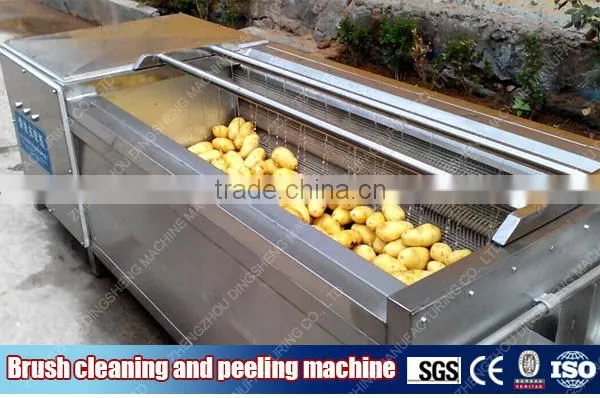 New arrival brush peeling and washing equipment