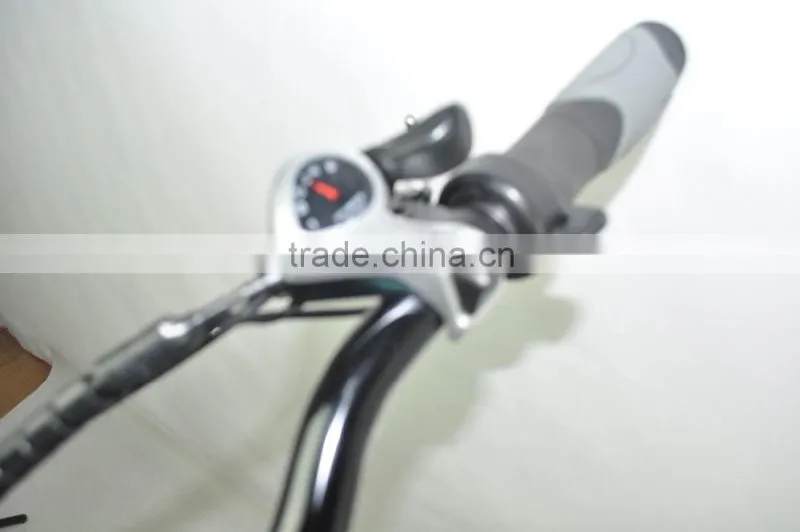 Top E-Cycle High Quality Popular Ebike CE Approval Israel Peerless Folding Ebike