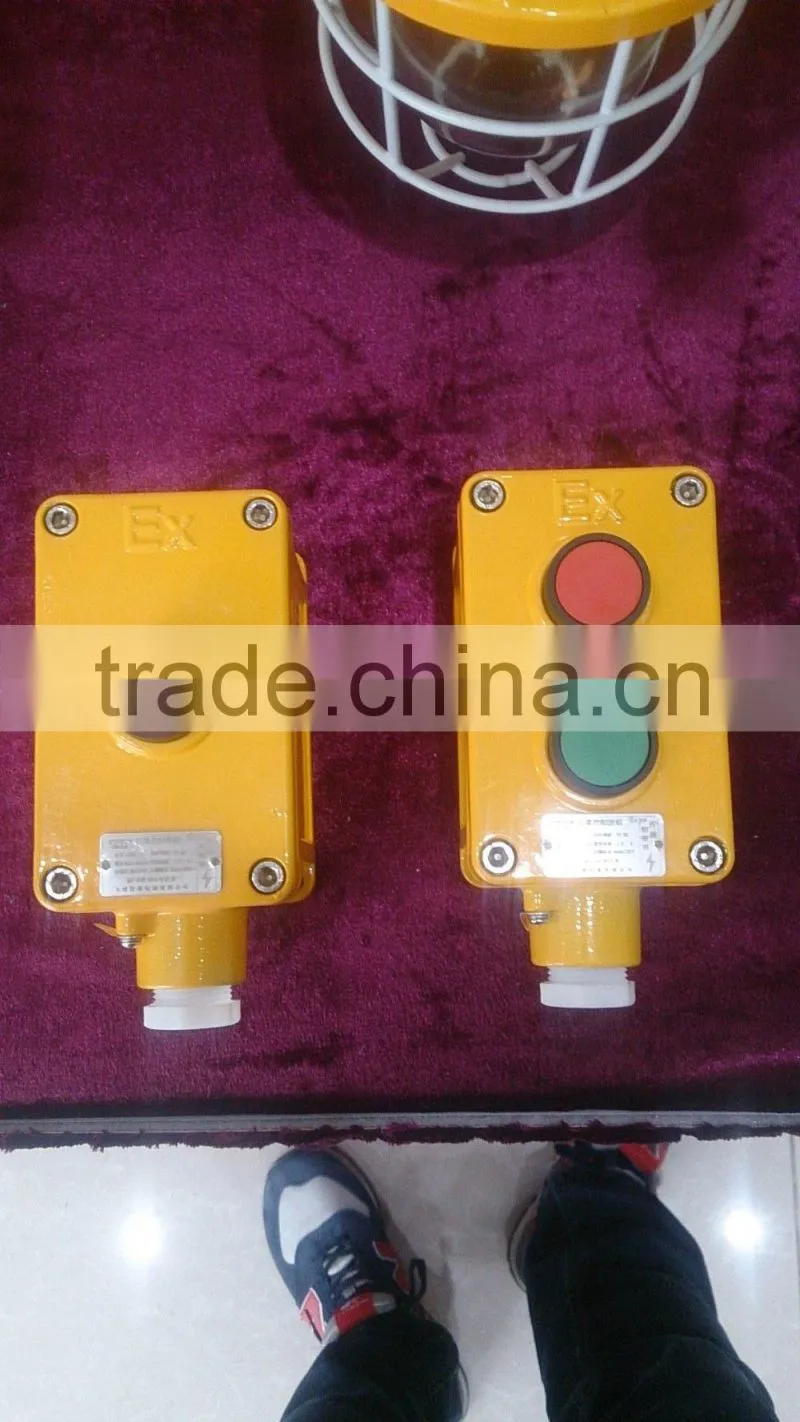 IIC Explosion proof control button