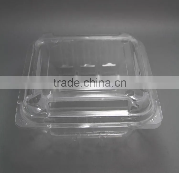 Disposable PET Clear Container, Plastic Snap