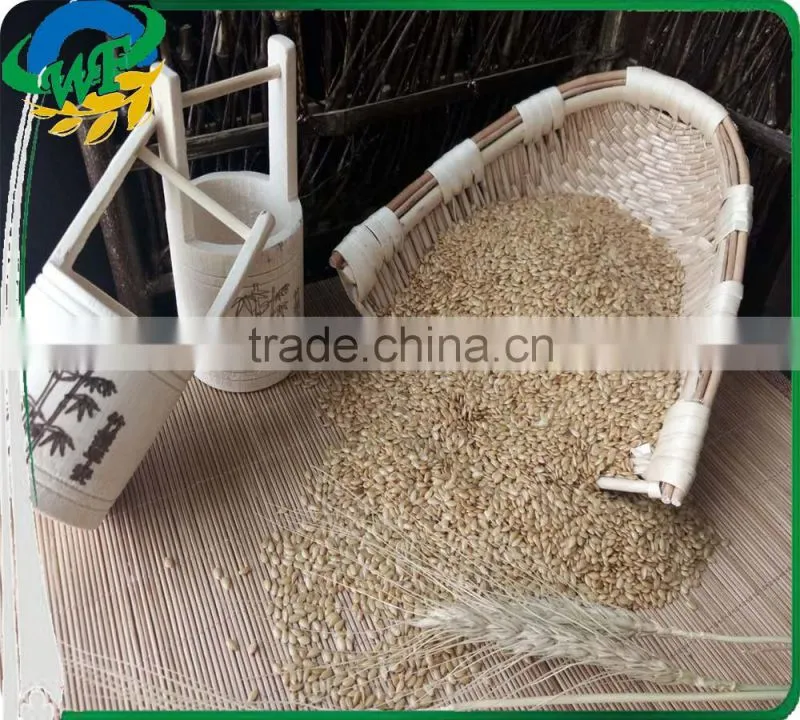 Golden and brown flax seed