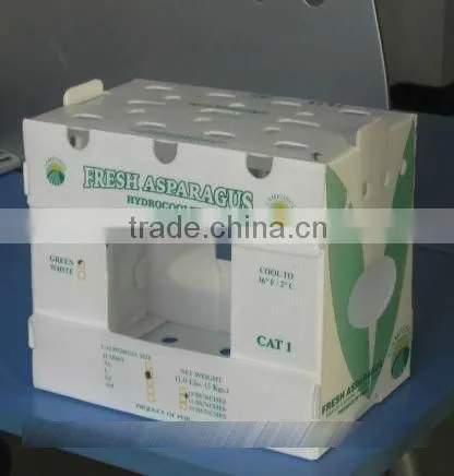 2012 high quality PP corrugated plastic holders