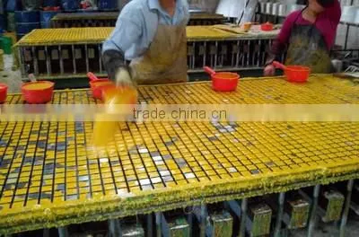 ABS FRP Carwash Floor Grating/Grates & Plastic Cover Plate Manufacturer & FRP Grilling