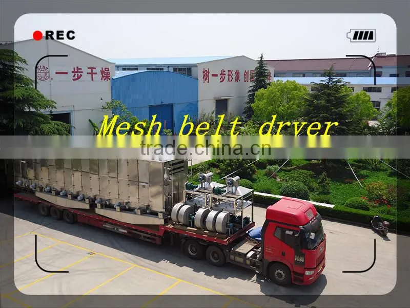 Dw continuous Mesh -Belt Dryer for Vegetable &fruits