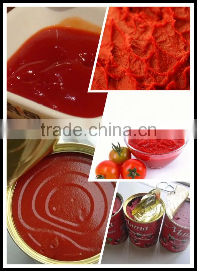 canned tomato paste