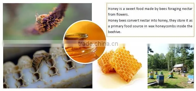 Buckwheat Honey