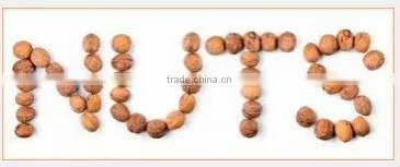 Stainless Steel 304 - Cashew Nuts Processing Line, Stainless Steel 304 - Nut Machines
