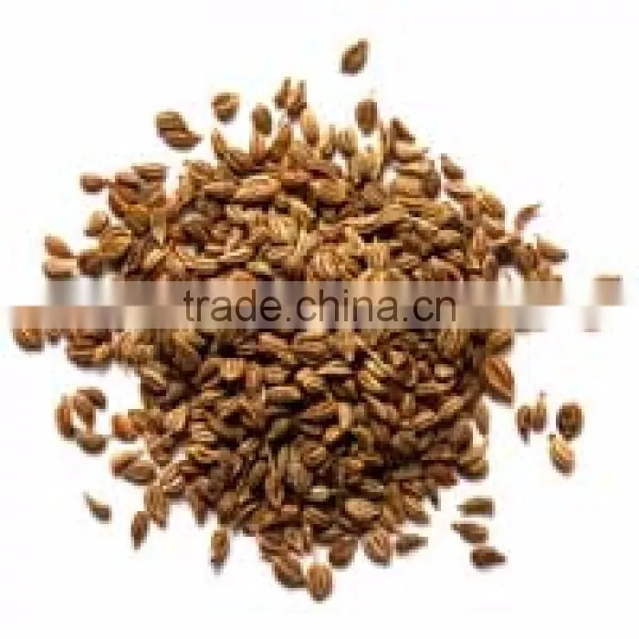 AJOWAN SEED 20% OIL