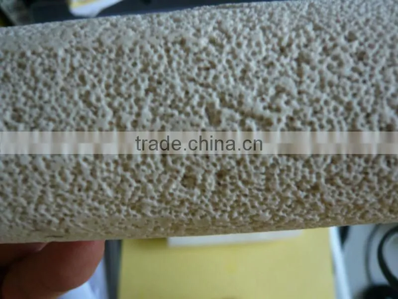 aquarium filter Bacteria house