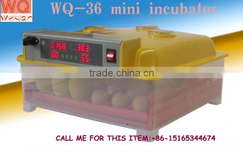 144 quail egg mini hatchery price in UK WQ-36
