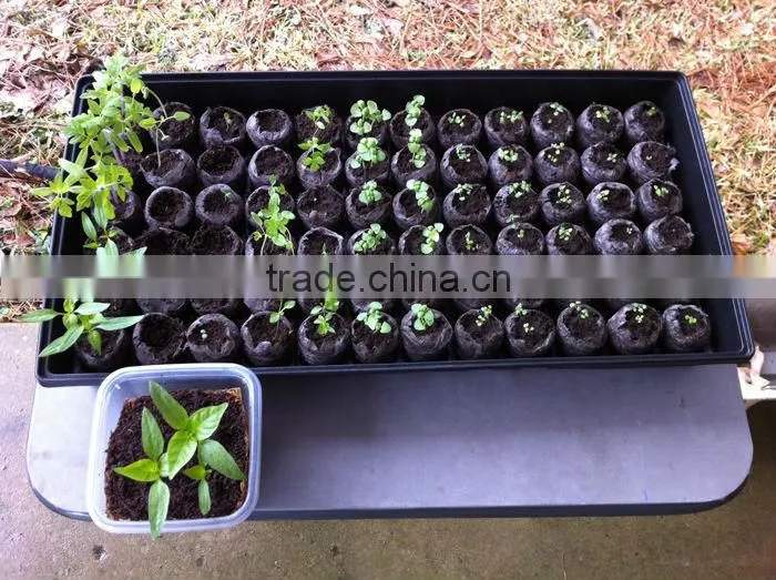 Plastic Nursery tray with dividers