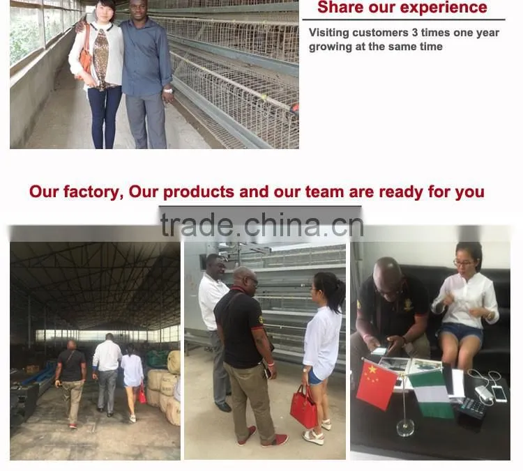 CHINA sales promotion 80 dollars this month chicken coop supplies