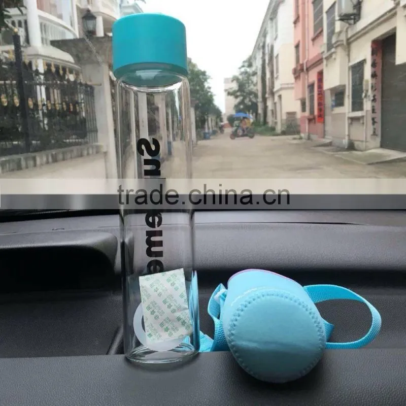 Glass Water Bottle - Eco-friendly Borosilicate Glass, No BPA, PVC and Lead, with Portable Nylon Sleeve,