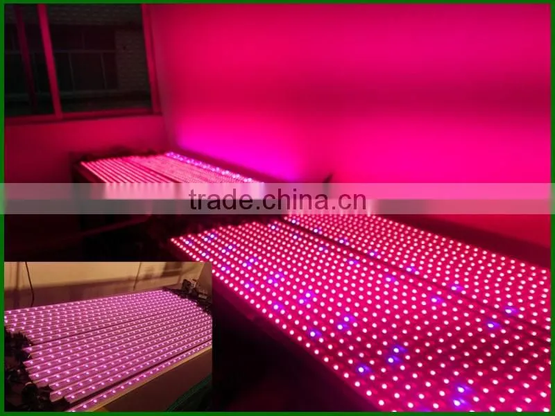 Hot seller 20w cheap indoor led grow lights that work