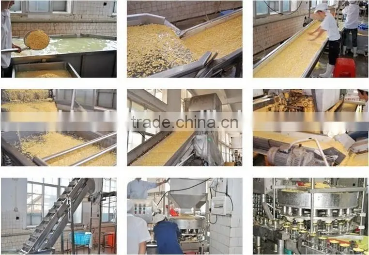 New Crop 400g Easy Open good taste Sweet Kernel Corn in Can