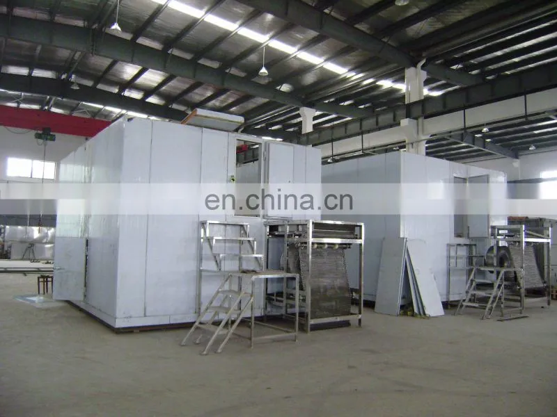 China Frozen Vegetable Production Line/Green Peas Quick Freezing Processing machine