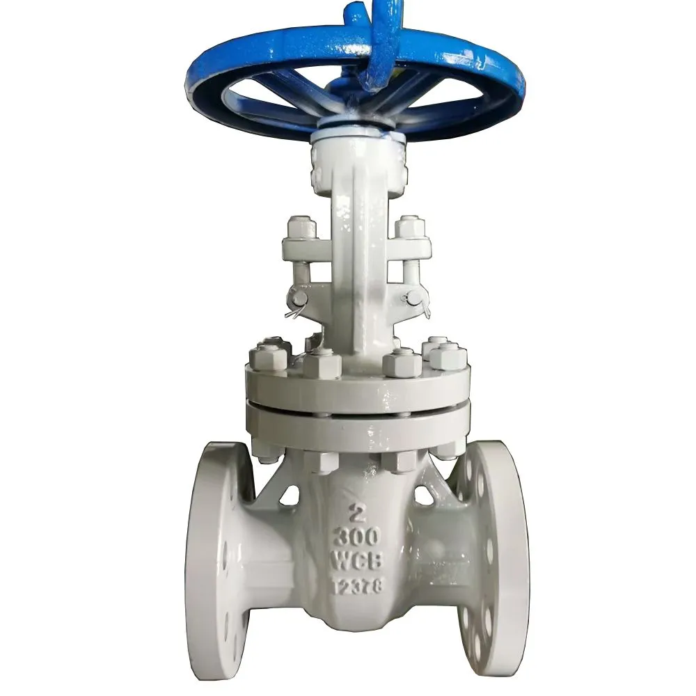 API GATE VALVE -7.jpg.webp