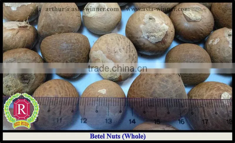 Betel Nuts Whole