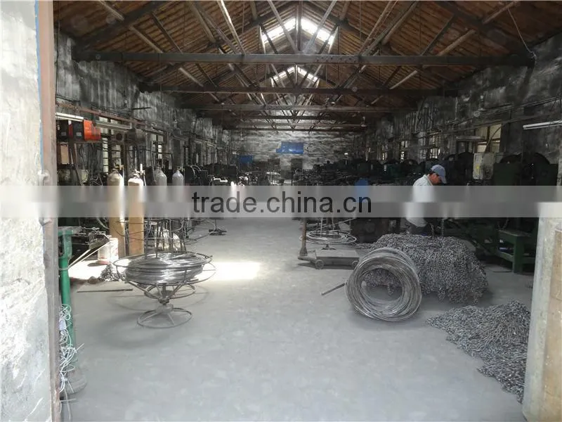 G80 DIN763 electric galvanized carbon steel chain