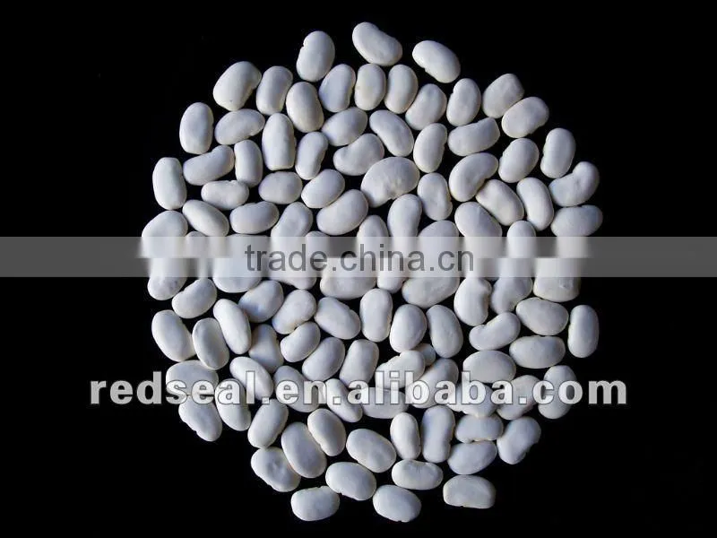 medium white kidney beans