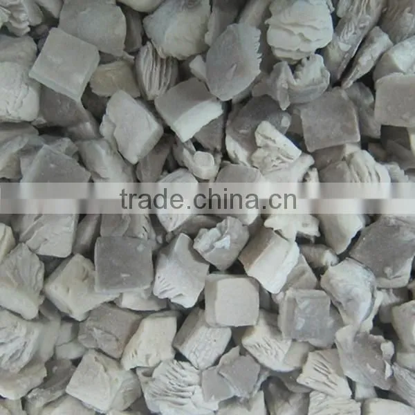High Quality Oyster Cubes