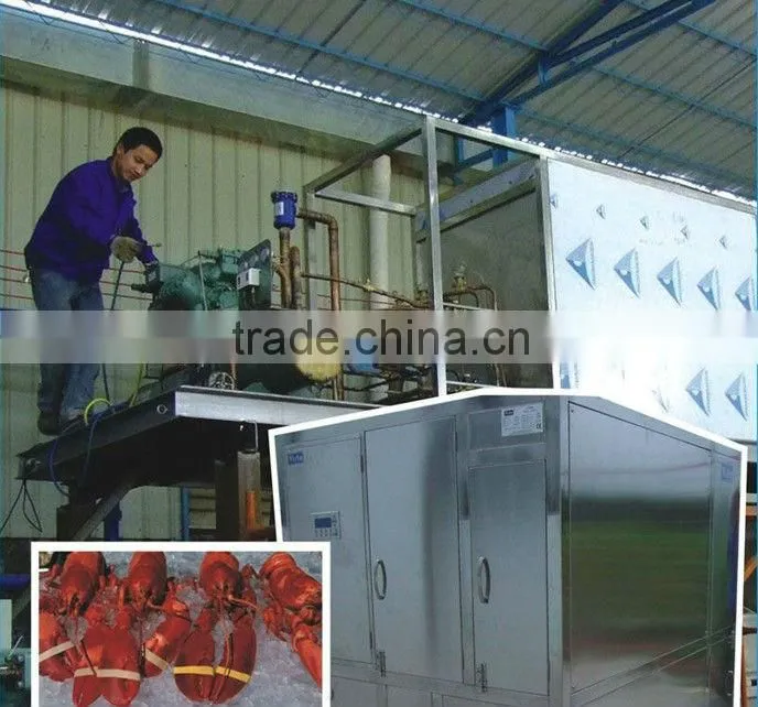New Plate Ice Machine With Refrigeration Unit JJHYF20