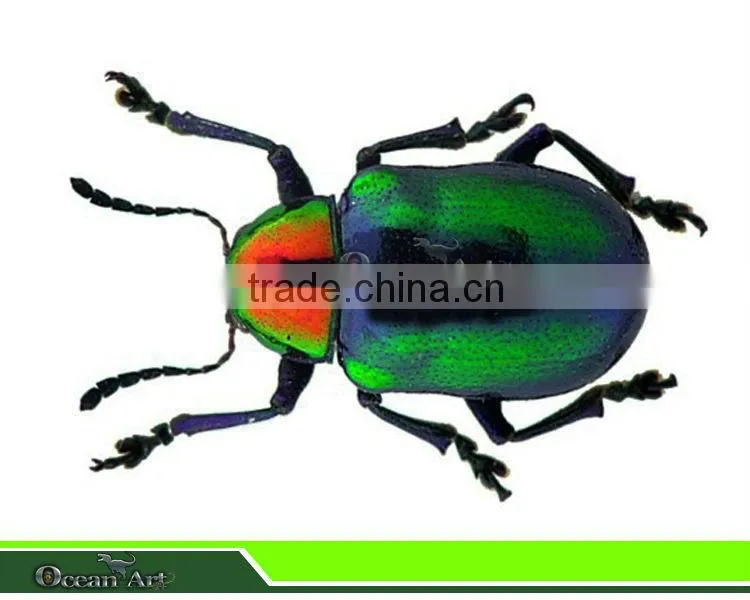 Outdoor Playground Lifelike Mechanical Electronic Insect
