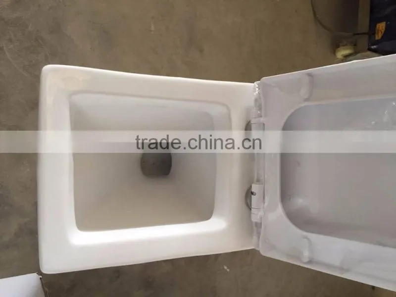 sanitary ware wc toilet one piece toilet ceramic siphonic s-trap 300/400mm toilet factory top quaity toilet Y8021