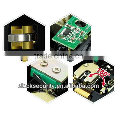 Single Cylinder Electric Rim Lock with PCB, Black Painted