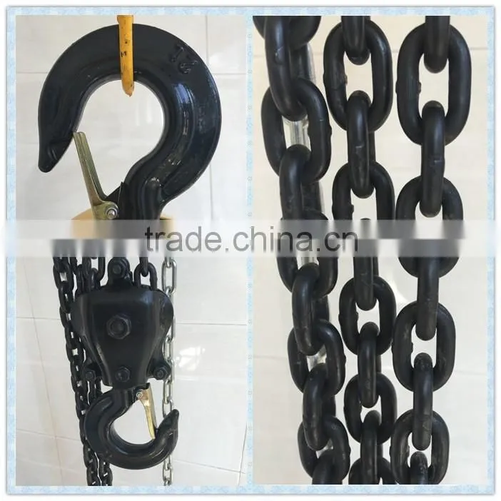 2 ton 10 ft HST types of mini chain pulley block