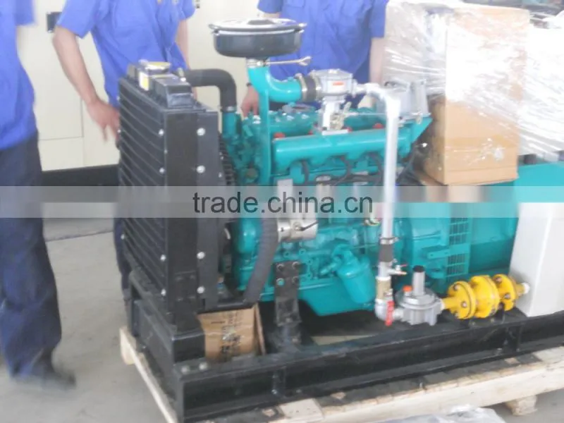 20kW natural gas Driven Generator from Weifang factory with CE/ISO