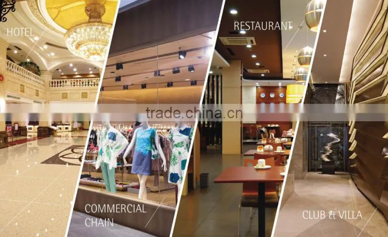 Zhongshan factory direct sale led spot light 20w downlighting