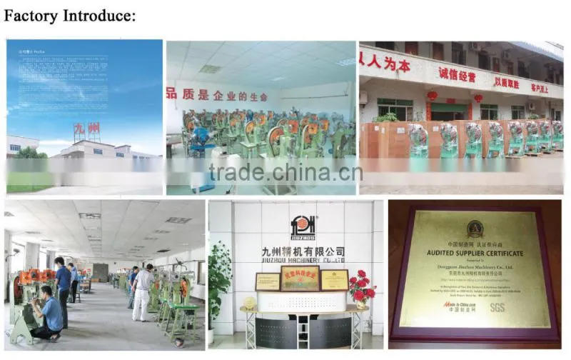 Automatic Rivet Fixing Machine (JZ-989NS)