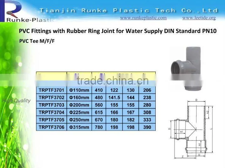 Pipe Fitting Reducer Bushing DIN Standard PN10