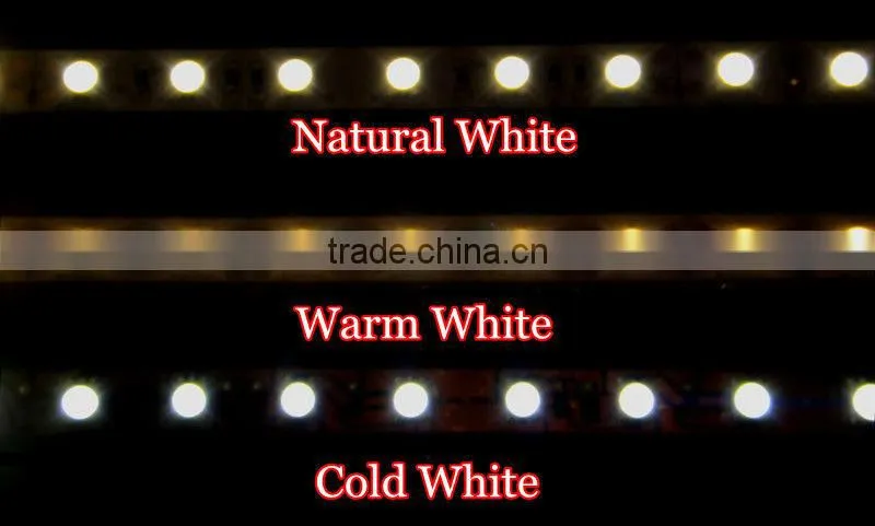 dimmable led strip 3528 240LEDs flexible strip 5 meter per roll