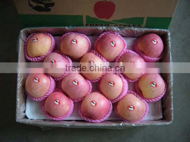 Fresh Fruit Fuji Apple