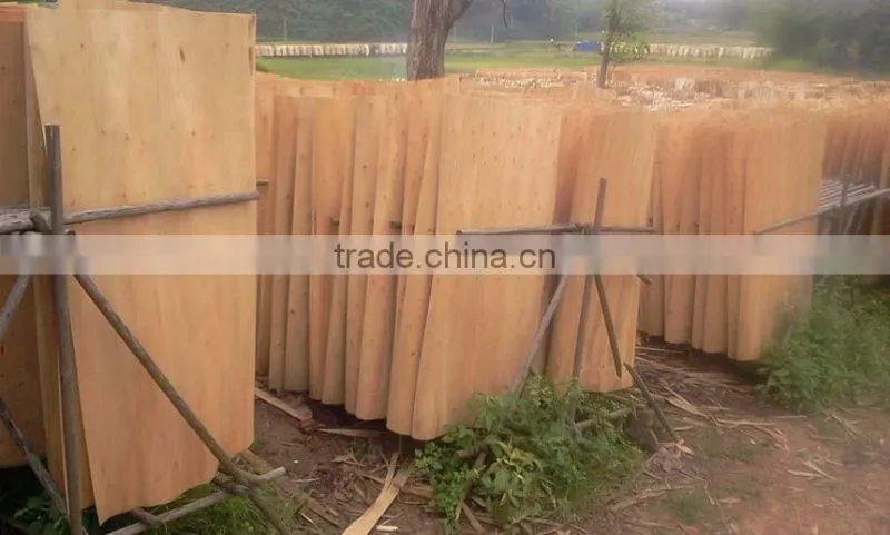 CHEAP NATURAL EUCALYPTUS CORE VENEER FOR KOREA MARKET