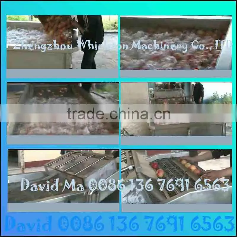 fresh fruit and vegetable washing machine